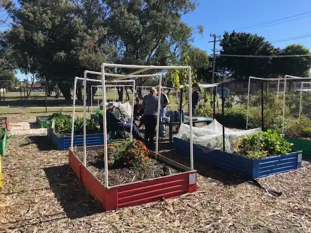 A group of people relaxing in a community garden surrounded by raised garden beds