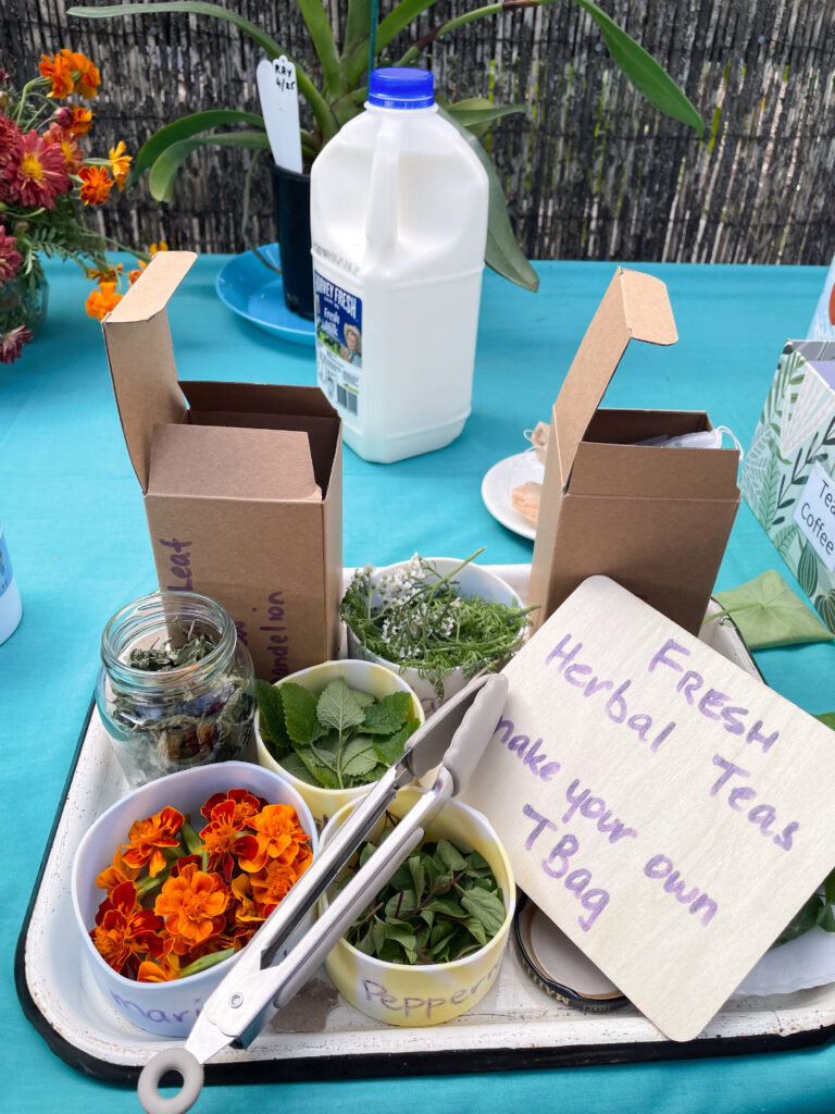 A tray of fresh herbs and flowers to make your own tea