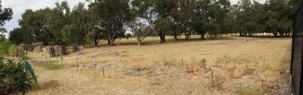 The site of Willetton Community Garden in 2015 - a bare patch of sand and dead grass.