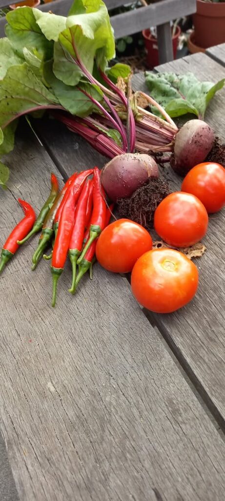 Red chillies, beetroot and tomatoes grown at Willetton Community Garden.