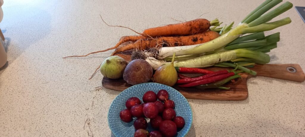 A variety of fruit and vegetables grown at Willetton Community Garden.